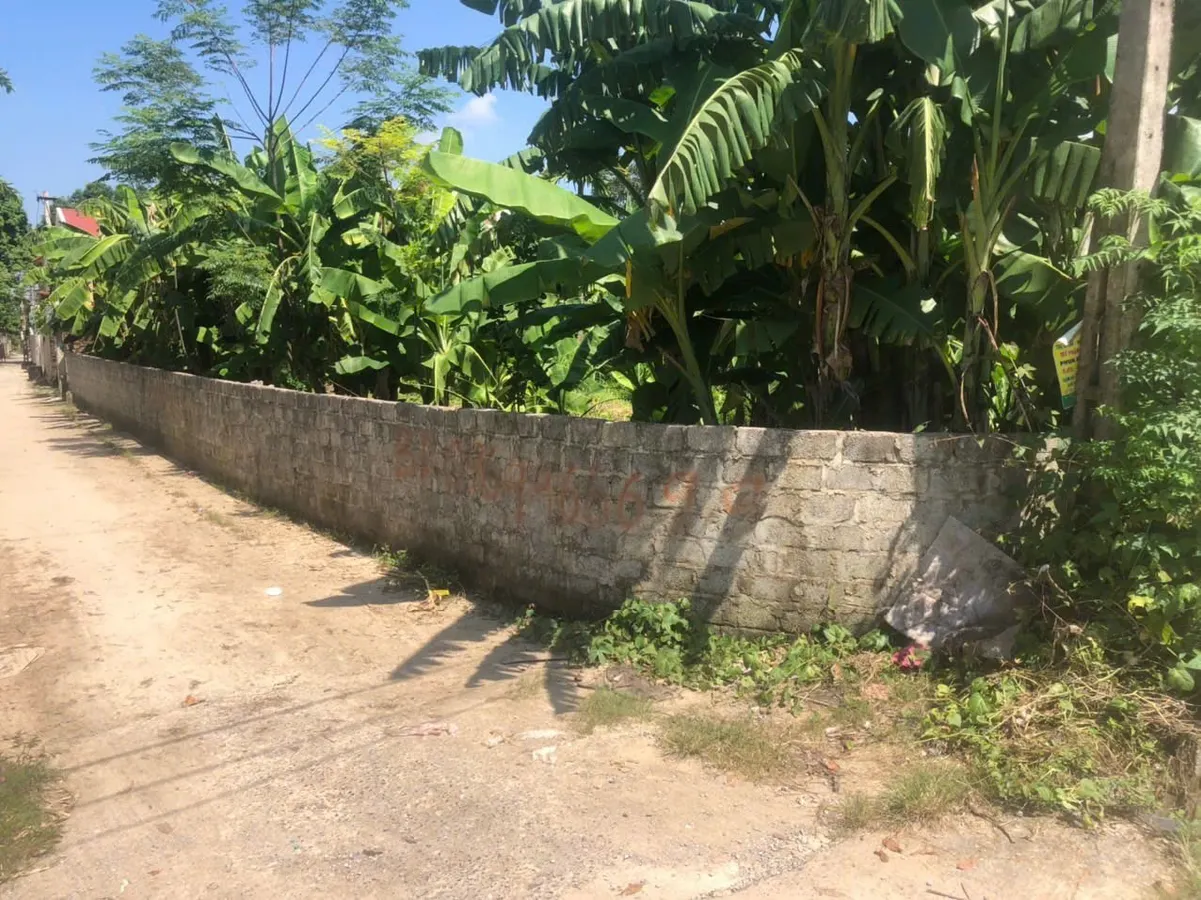 Bán đất 2 mặt tiền xã Thiệu Duy - diện tích 600m², thuận lợi làm nhà vườn, kinh doanh