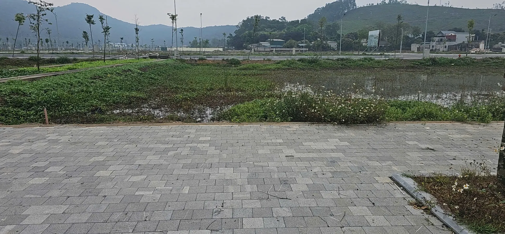 Bán lô đất 100m2 khu đô thị quảng tân nam tp Thanh Hóa - giá chỉ 1,3 tỷ