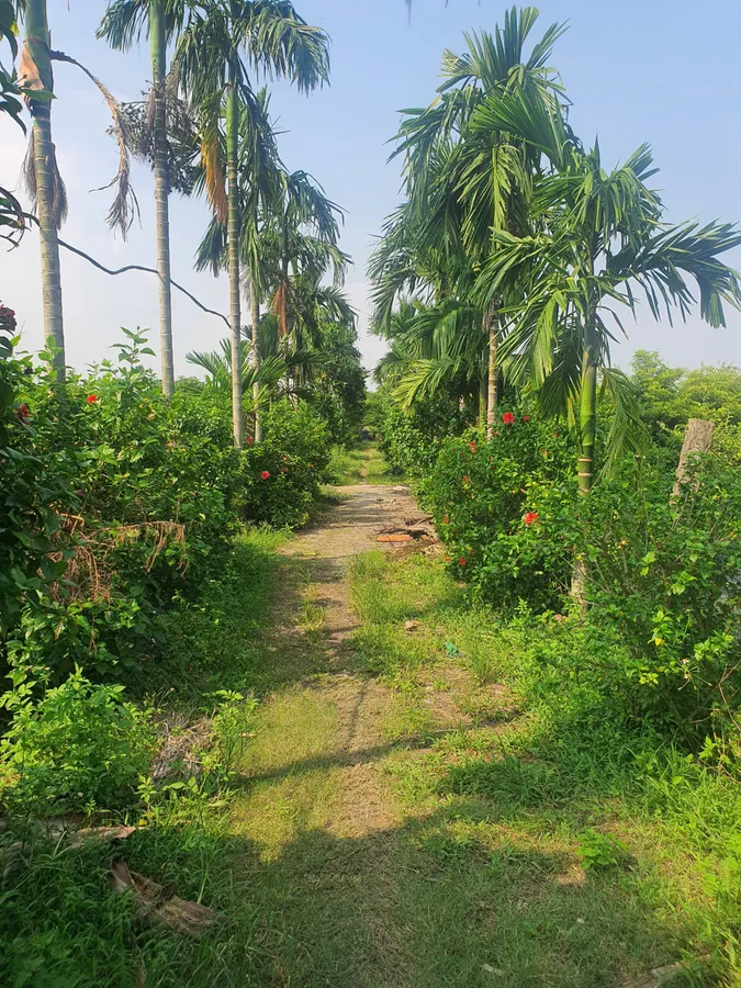 Chuyển nhượng trang trại 4ha tại tt tân phong - quảng xương, Thanh Hóa