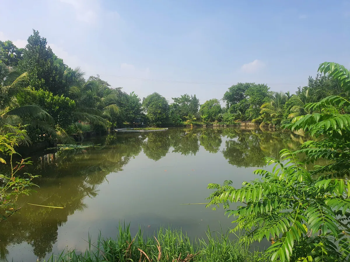 Chuyển nhượng trang trại 4ha tại tt tân phong - quảng xương, Thanh Hóa