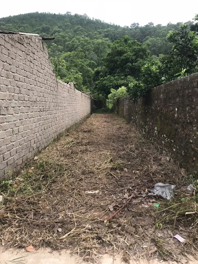 Đất 655.4m² (200m² thổ cư) gần mặt bằng 520 đồng nhưng - ô tô vào tận nơi