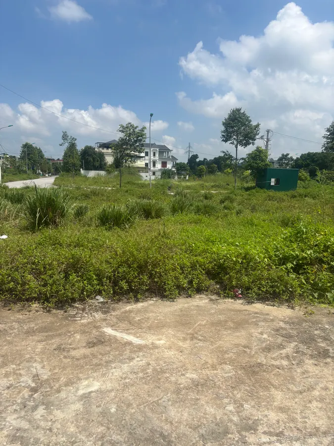 Bán đất MBQH 1906 - phường Hàm Rồng, Đình Hương, TP Thanh Hóa