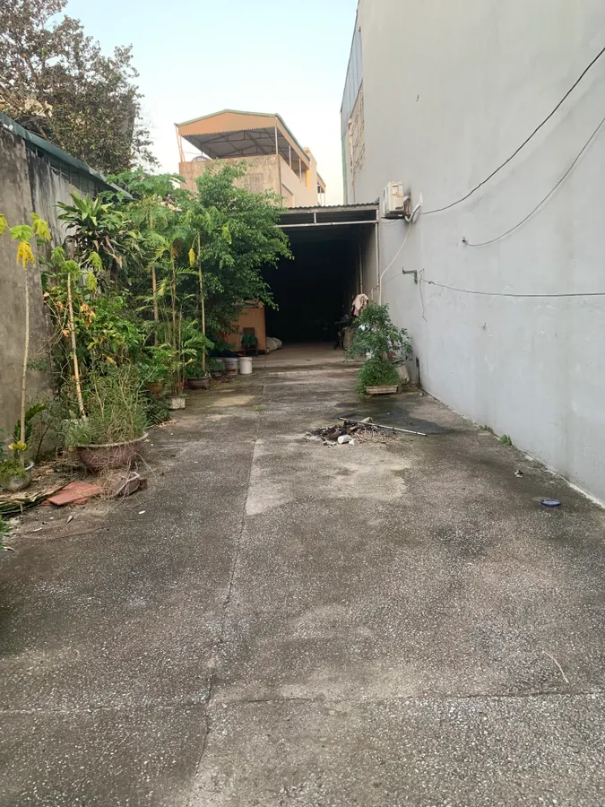 Bán đất 190m2 mặt tiền 6m tại ngõ trục lê lai thông Trịnh Kiểm, Thanh Hóa