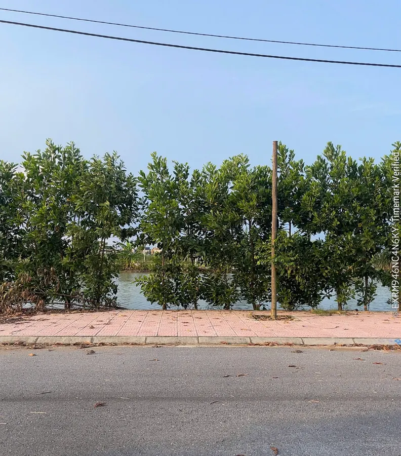 Bán đất 125m² đông minh - mb858, lô lk-g44, mặt tiền 5m, giá chỉ 885 triệu