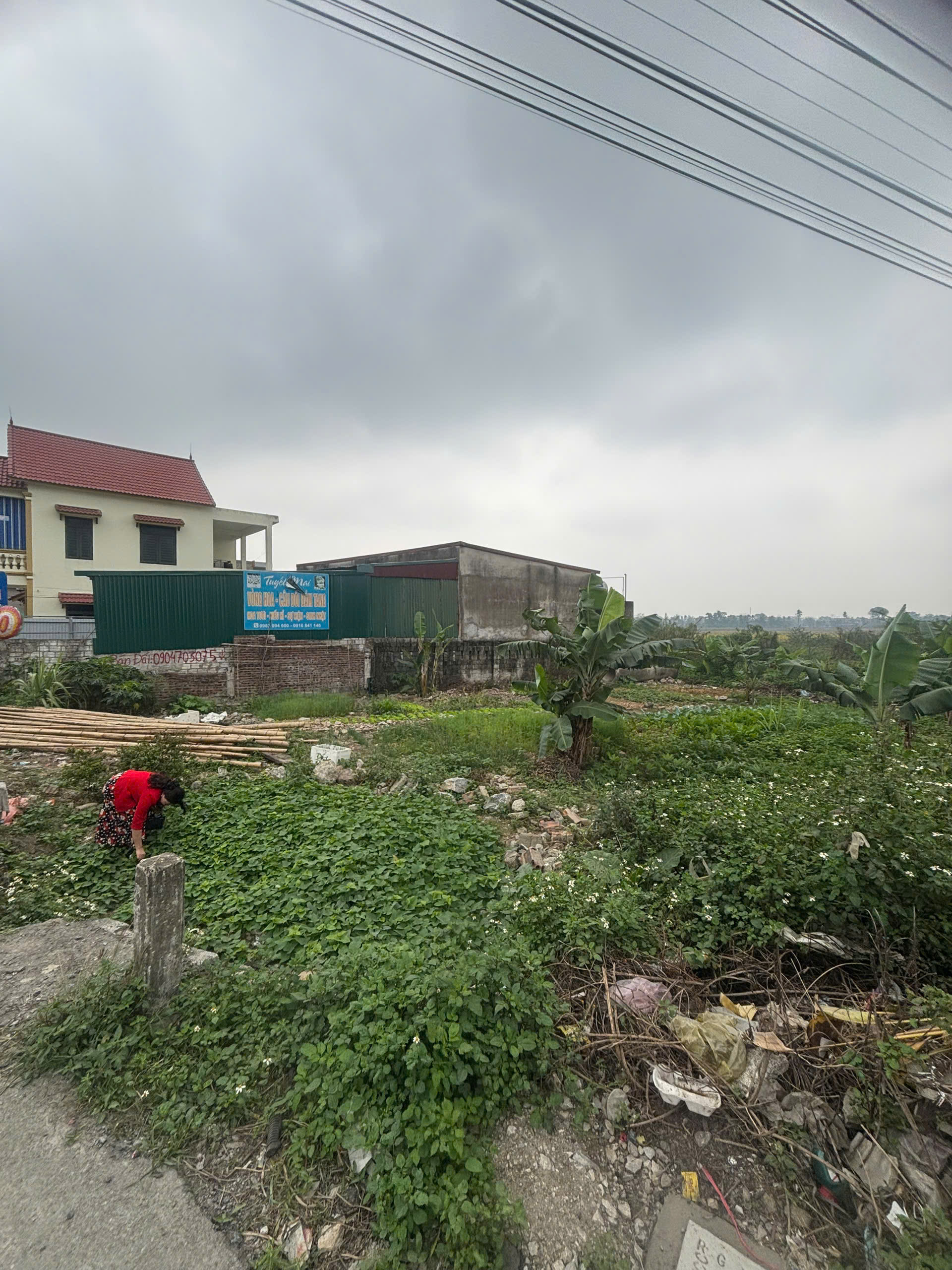 Bán đất kinh doanh Hoằng Quỳ Hoằng Hóa, 200m2, mặt tiền 9.5m, giá 3 tỷ x