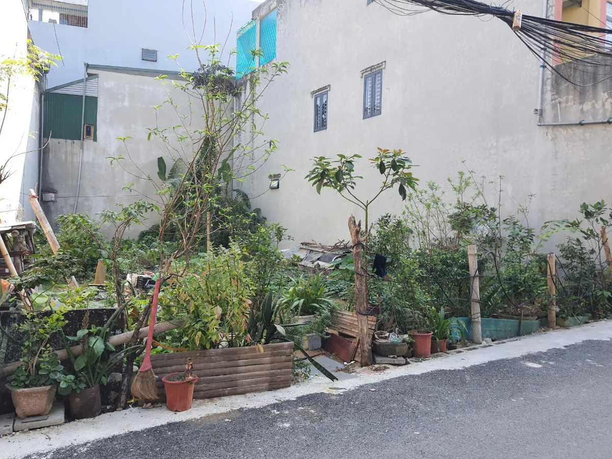 Bán đất trung tâm tp Thanh Hóa hơn 202m2 mặt tiền gần 12m phố Bào Ngoại - Nguyễn Tĩnh