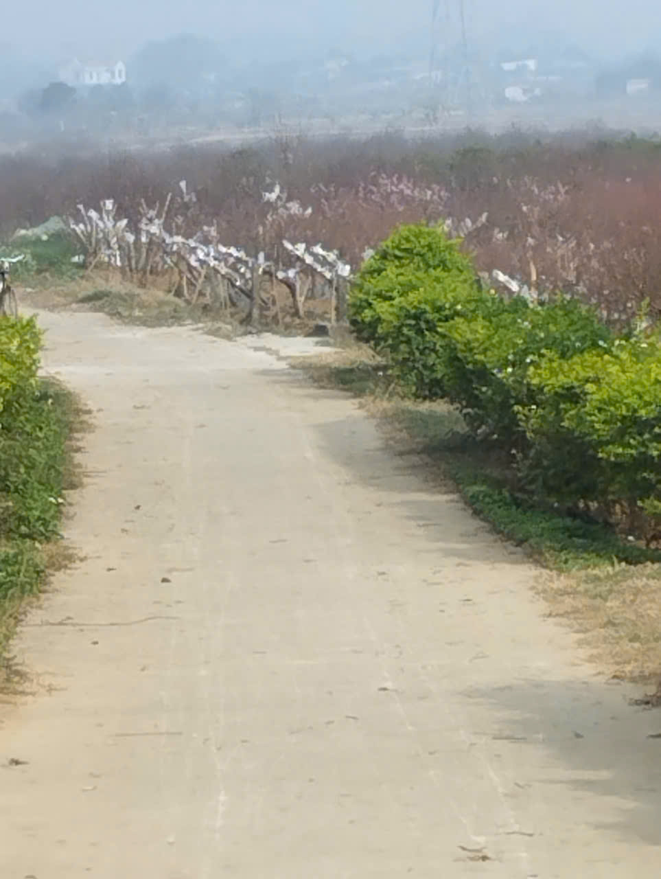 Lô đất 850m² Xuân Du Như Thanh - mặt tiền 18m, giá 1,08 tỷ, tiềm năng tăng giá rõ rệt