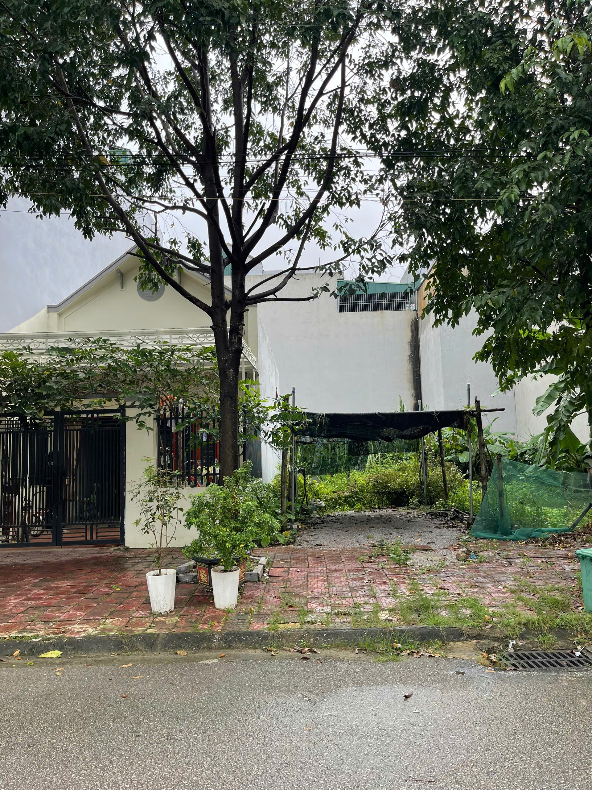 Lô đất mb 4665 Nam Ngạn - 5x15m, đường 18m, sát chung cư Lam Sơn RiverSide 25 tầng