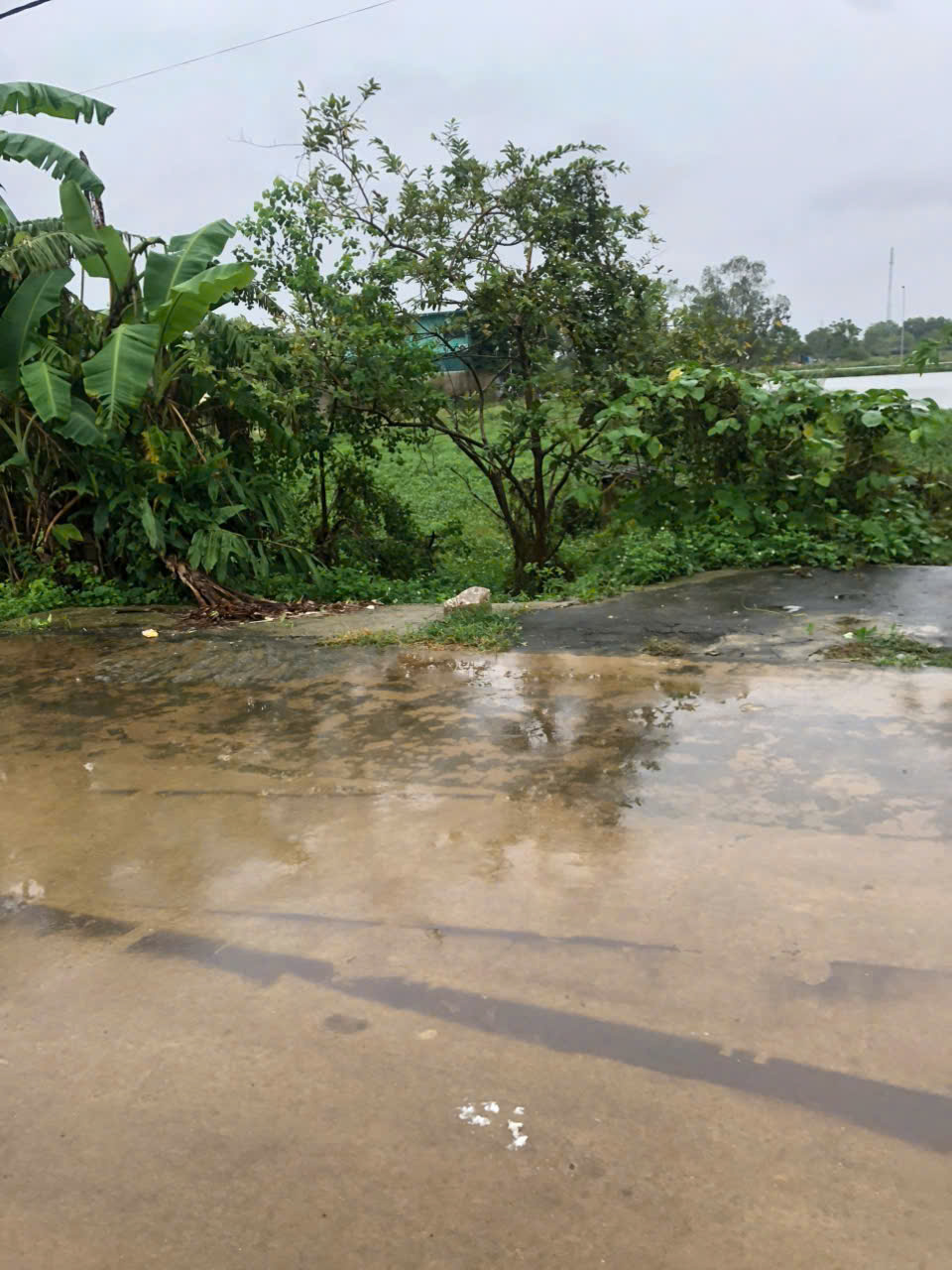 Hàng mới - lô đất Lưu Vệ Quảng Xương, 100m², cách bệnh viện Quảng Xương vài bước chân