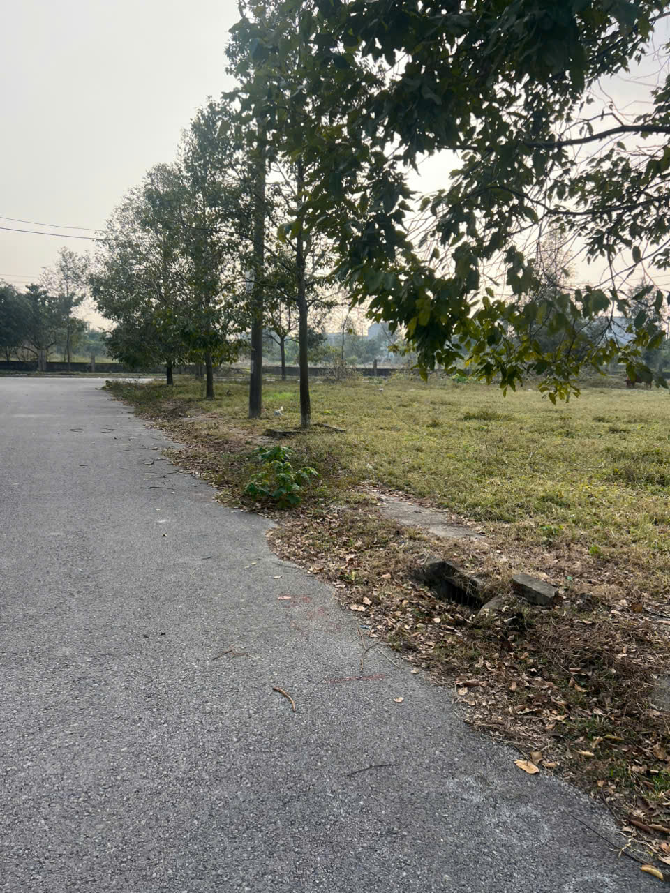 Bán lô đất 81m2 mb 2349 phường Quảng Phú (Quảng Hưng cũ), đường 15,50m, giá 1,79 tỷ