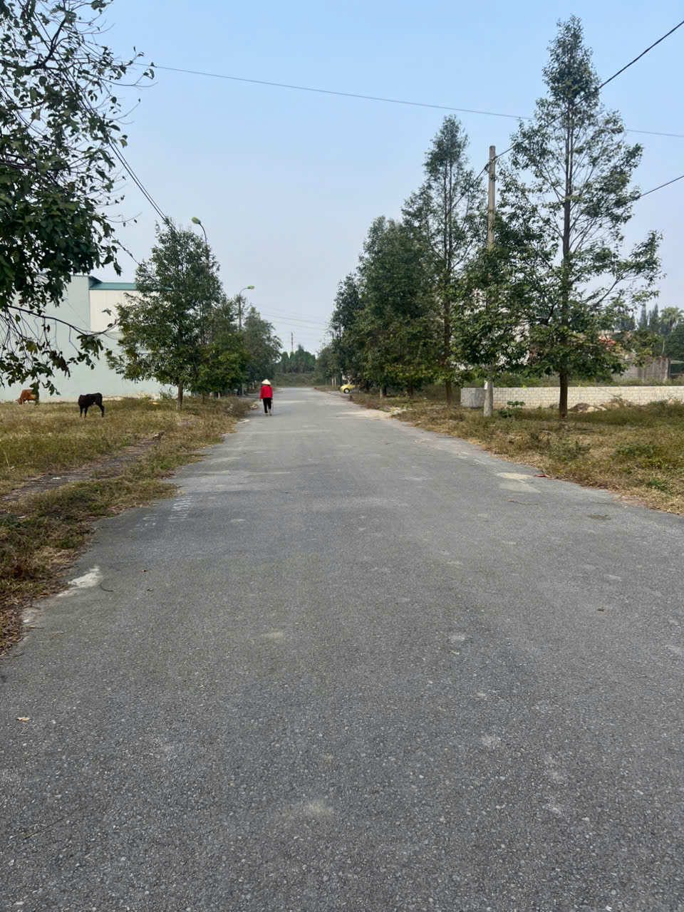 Bán lô đất 81m2 mb 2349 phường Quảng Phú (Quảng Hưng cũ), đường 15,50m, giá 1,79 tỷ