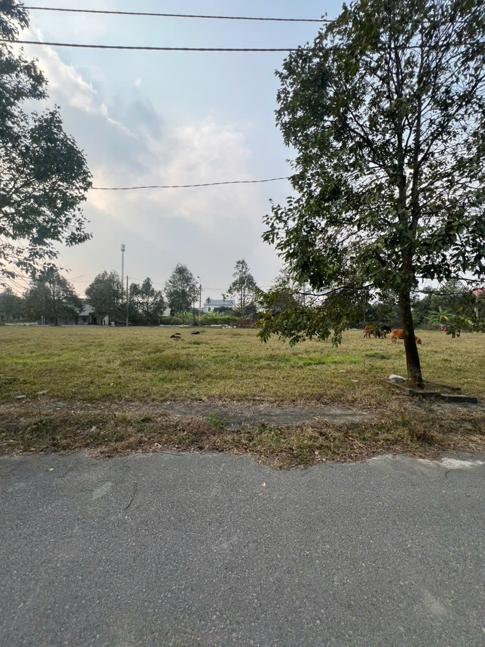 Bán lô đất 81m2 mb 2349 phường Quảng Phú (Quảng Hưng cũ), đường 15,50m, giá 1,79 tỷ