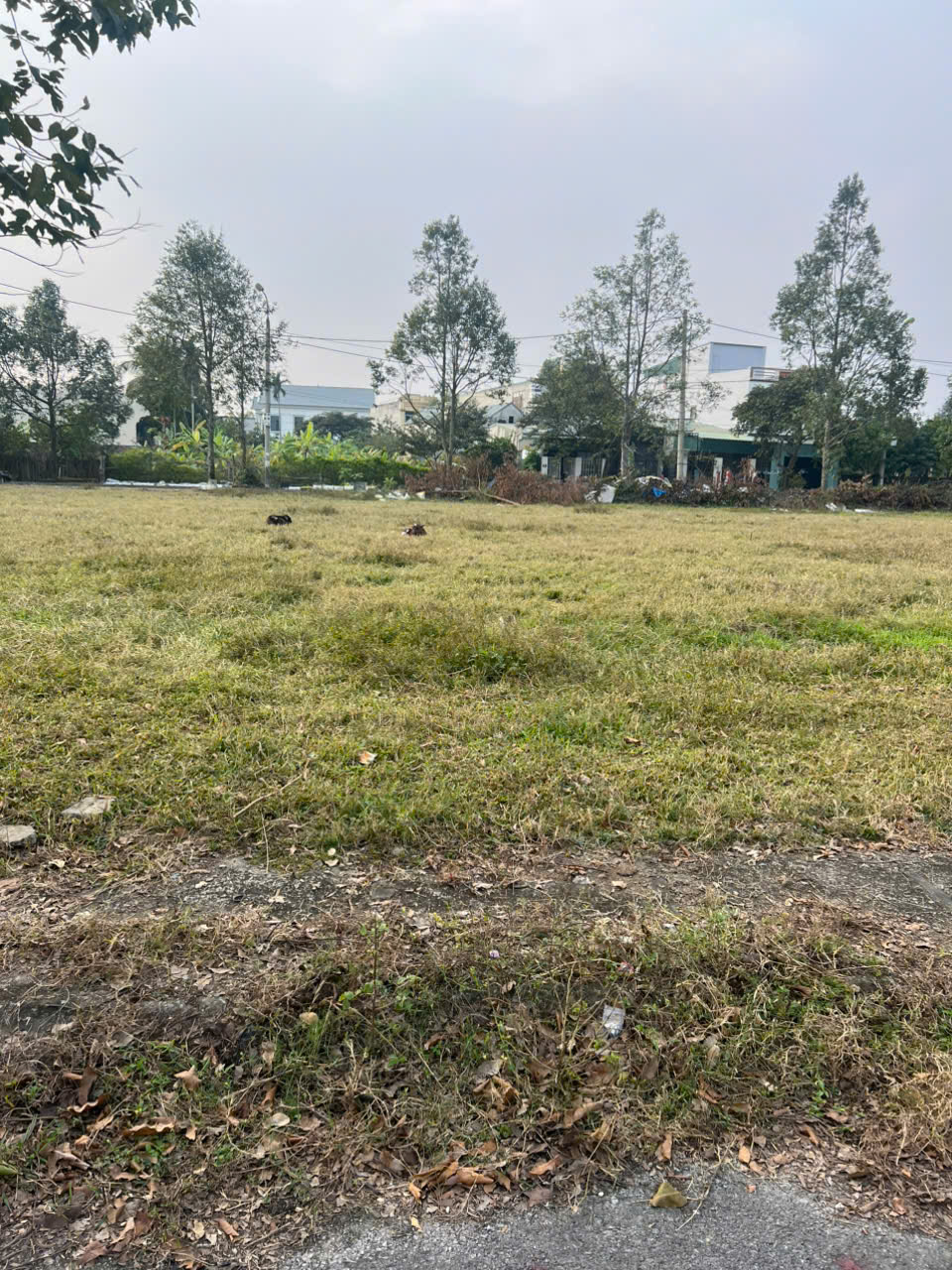 Bán lô đất 81m2 mb 2349 phường Quảng Phú (Quảng Hưng cũ), đường 15,50m, giá 1,79 tỷ