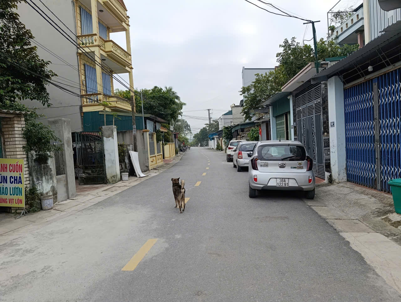 Bán lô đất trục chính Lê Hưng Quảng Thắng cũ - gần 80m2, đường nhựa 2 ô tô tránh, kinh doanh tốt