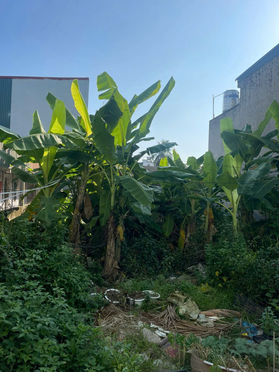 Bán đất 60m2 phố Thành Mai Quảng Thành, gần HDU và đại lộ Võ Nguyên Giáp