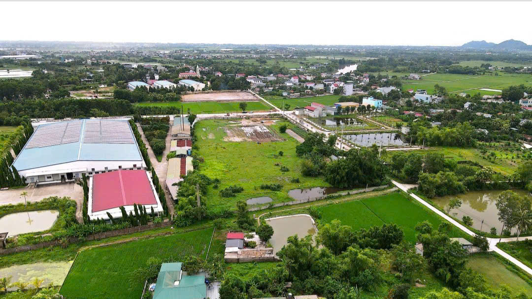 Bán 19.744m² đất sản xuất kinh doanh tại Quảng Hợp, Quảng Xương giá 900 nghìn/m²