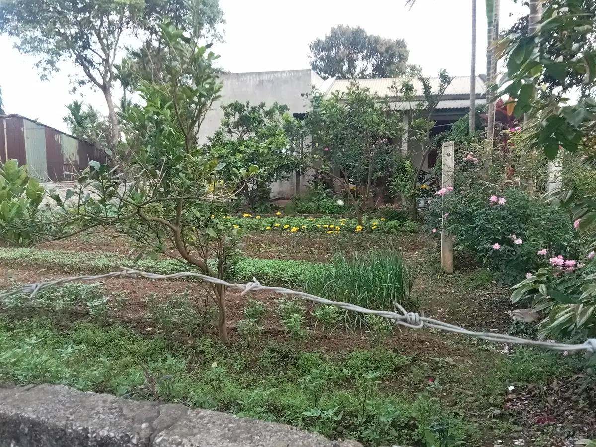 Bán đất Quảng Phú Thanh Hóa 216m2 mặt tiền 12m gần cảng Lễ Môn giá 2 tỷ