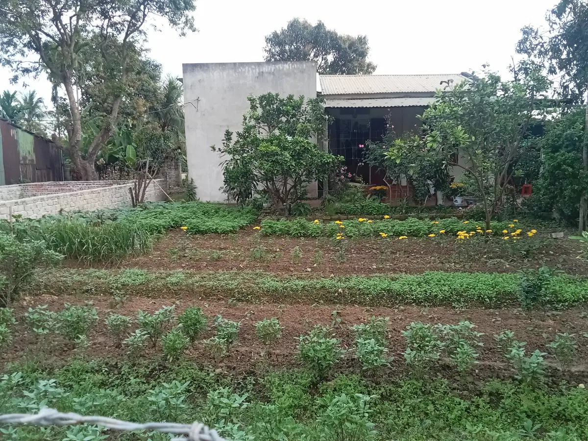 Bán đất Quảng Phú Thanh Hóa 216m2 mặt tiền 12m gần cảng Lễ Môn giá 2 tỷ