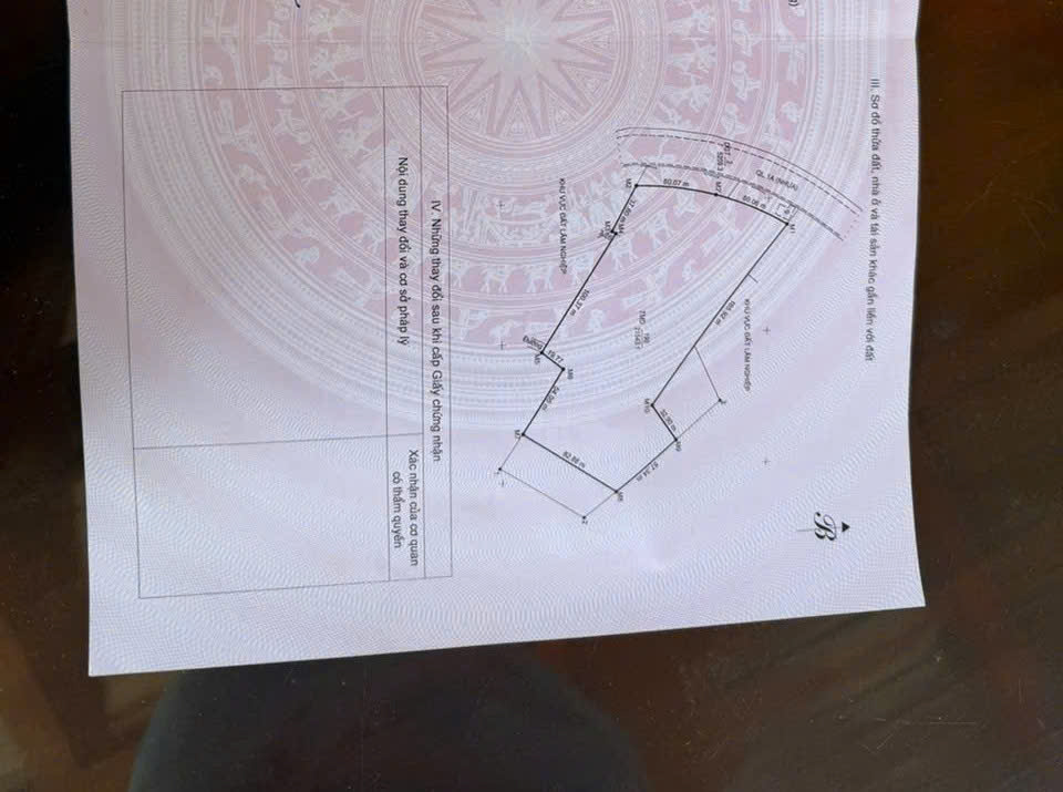 Bán lô đất diện tích lớn phường Bắc Sơn, Bỉm Sơn Thanh Hóa | 21.543m² | giá chỉ 1,1 triệu/m²