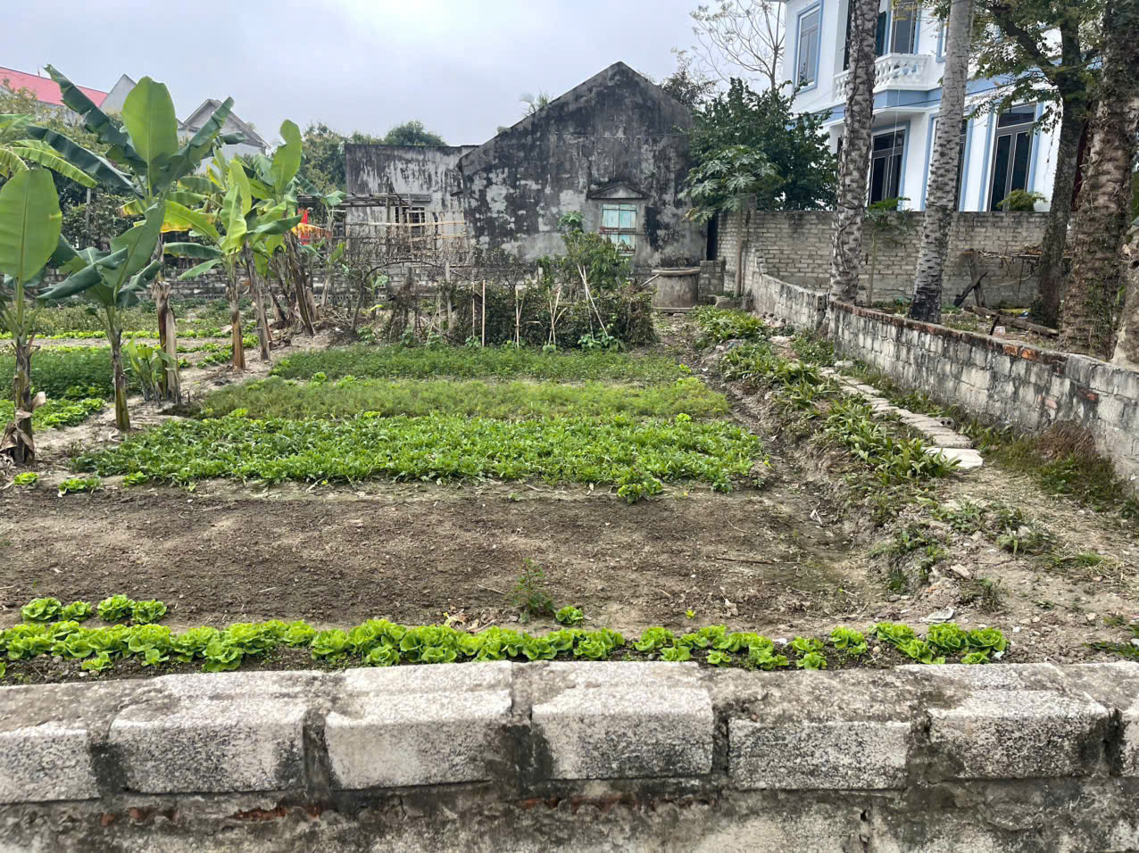 Bán đất phố 7 Quảng Hưng 104m2 đất ở 100% đường ô tô thông giá dưới 1 tỷ