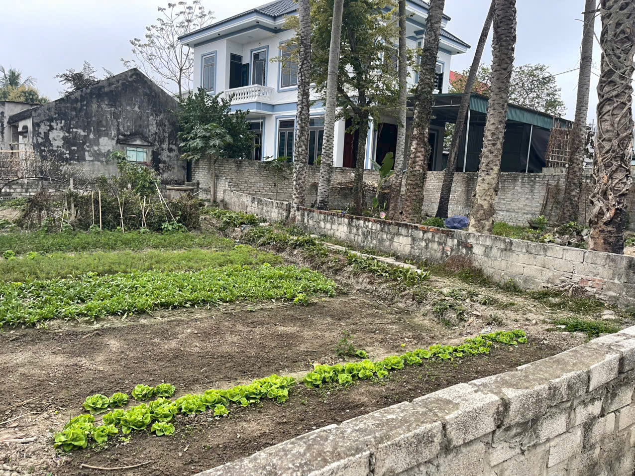 Bán đất phố 7 Quảng Hưng 104m2 đất ở 100% đường ô tô thông giá dưới 1 tỷ