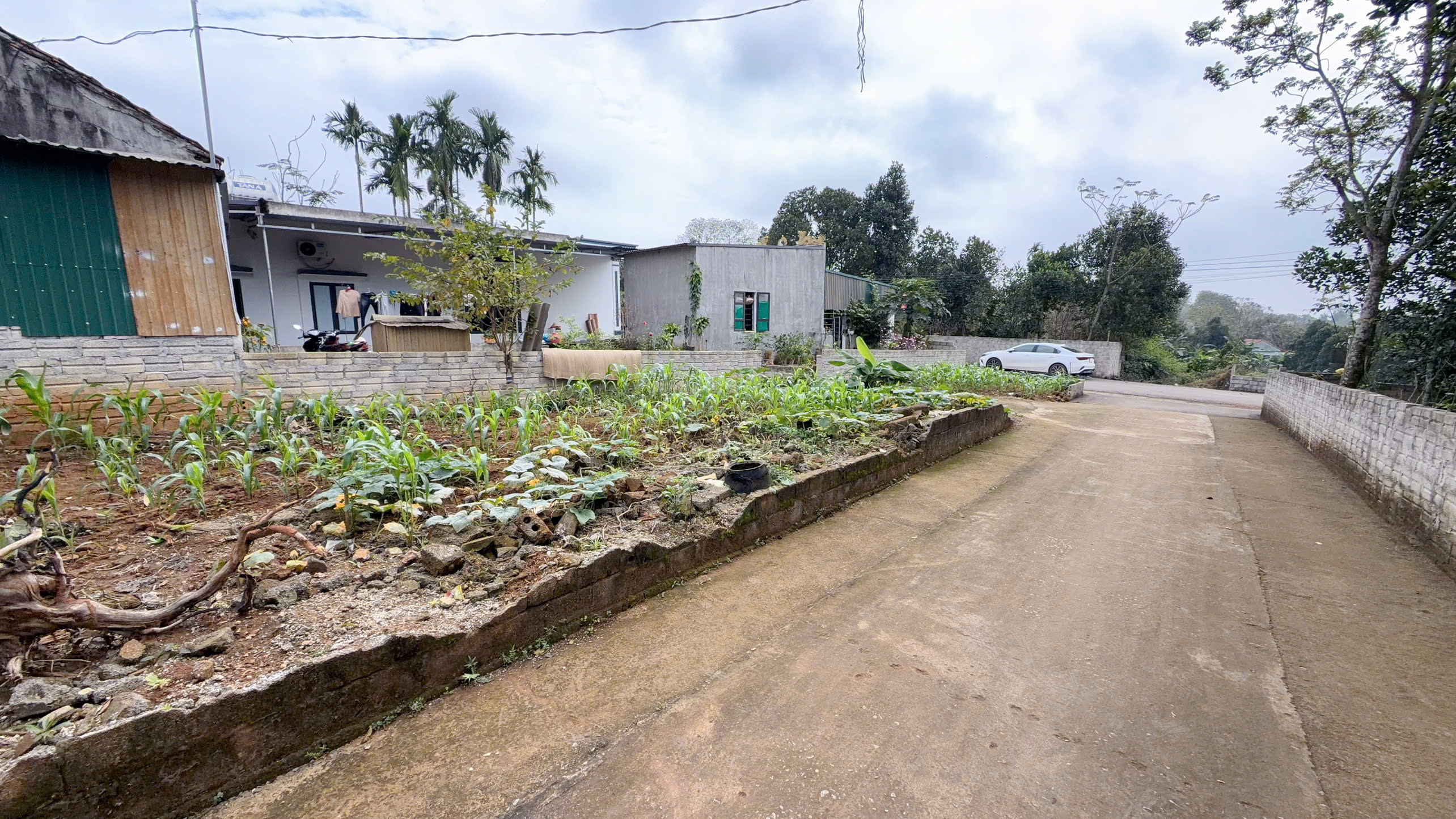 Bán đất đường nhựa Minh Sơn - Triệu Sơn, 120m² (100m thổ cư), gần tỉnh lộ 515c, giá từ 460 triệu