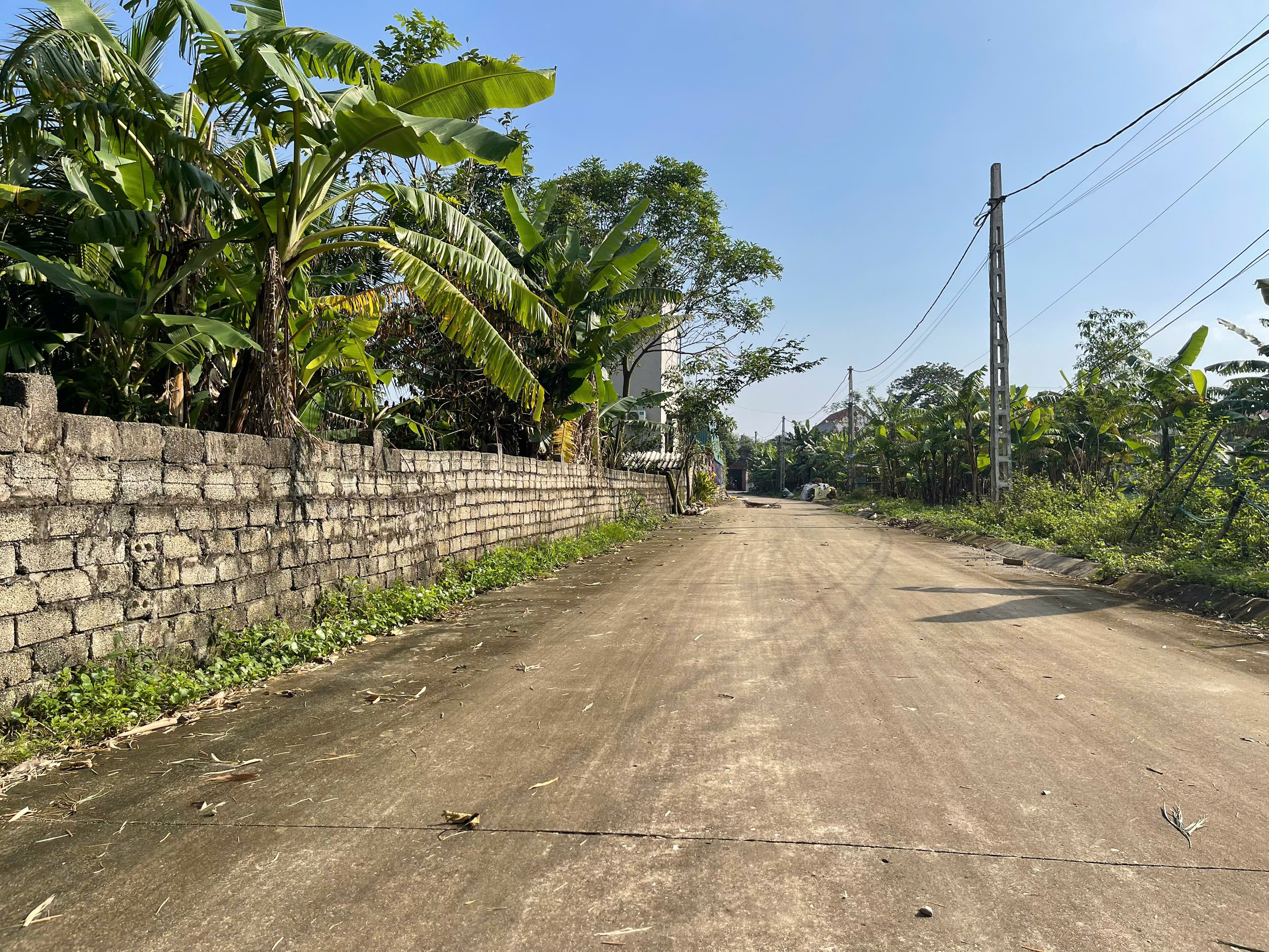 Bán đất mb vườn nếp Đồng Lợi - diện tích 138m², gần cty may dream 400m, cách cao tốc mai sơn ql45 1km, giá 7xx triệu