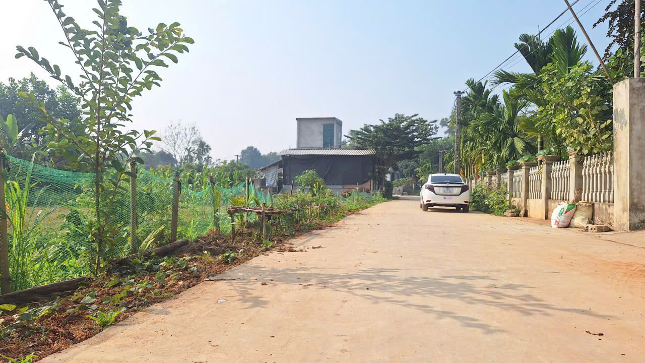 Bán 2 lô đất Triệu Sơn - diện tích 112,8m², mặt tiền 5m, cách chợ Thọ Bình 250m, giá chỉ 3xx triệu