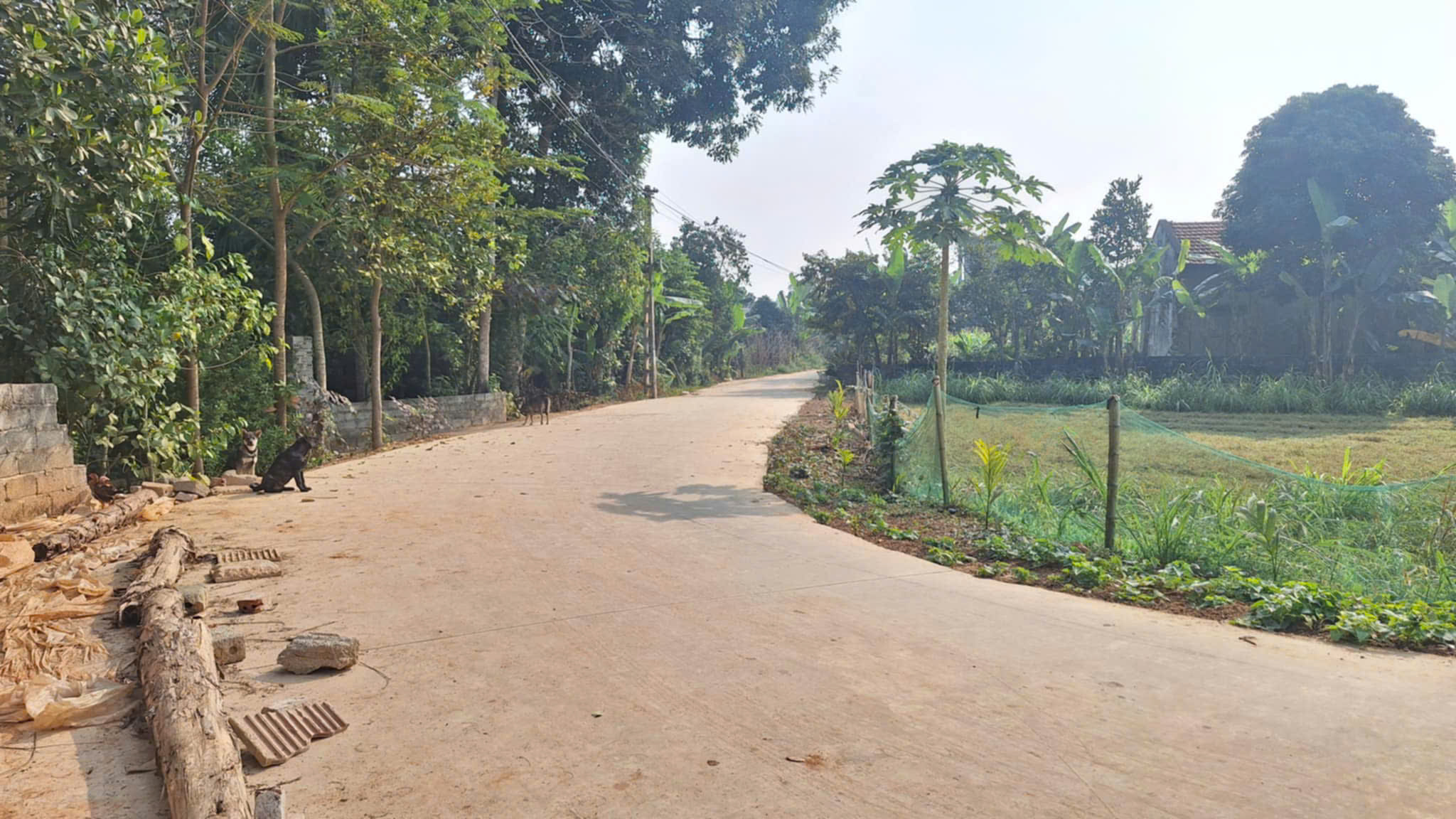 Bán 2 lô đất Triệu Sơn - diện tích 112,8m², mặt tiền 5m, cách chợ Thọ Bình 250m, giá chỉ 3xx triệu