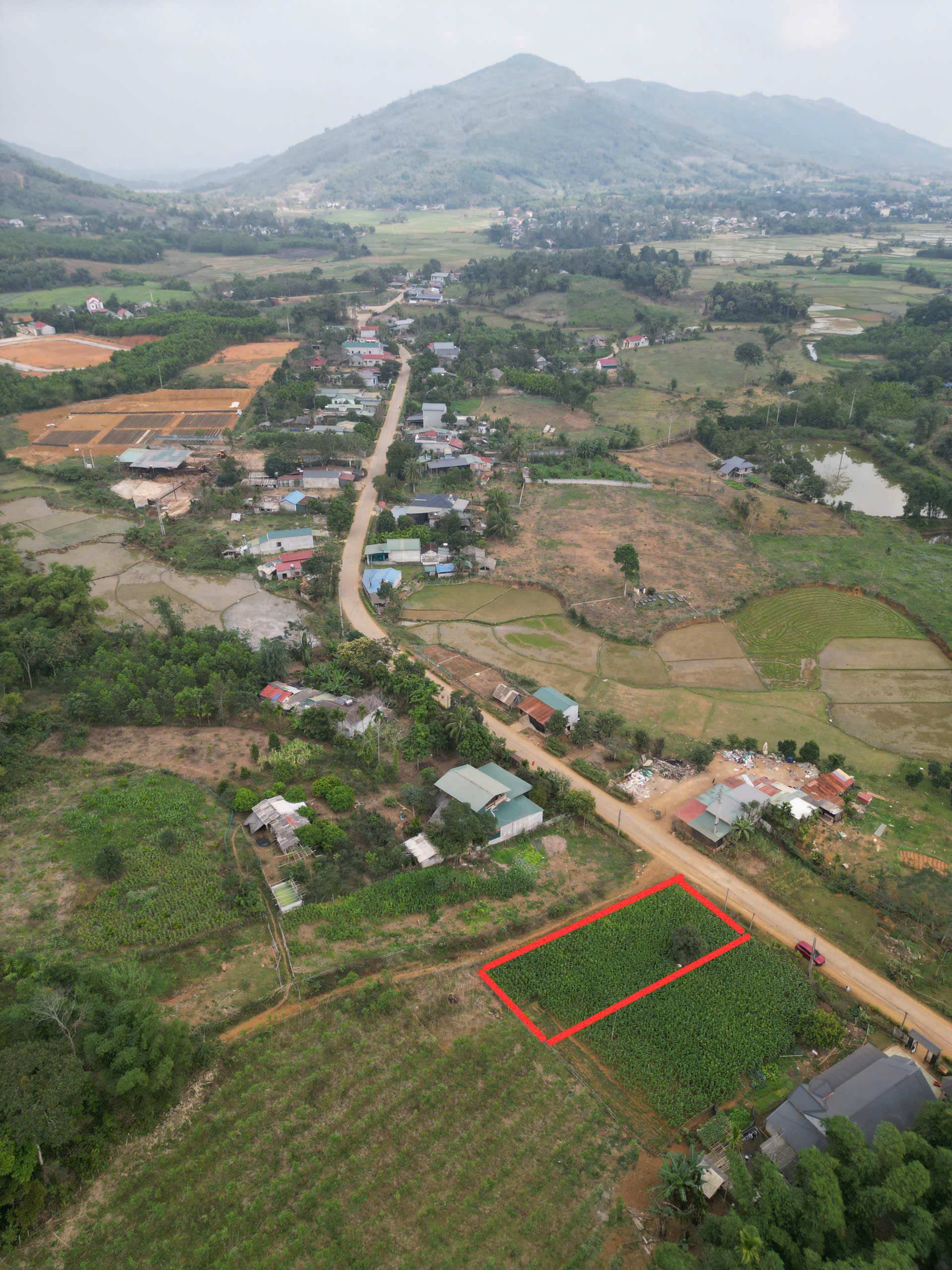 Bán đất Cao Ngọc Ngọc Lặc 148m² thổ cư, mặt tiền 6m, bám đường liên xã 9m - giá 285 triệu