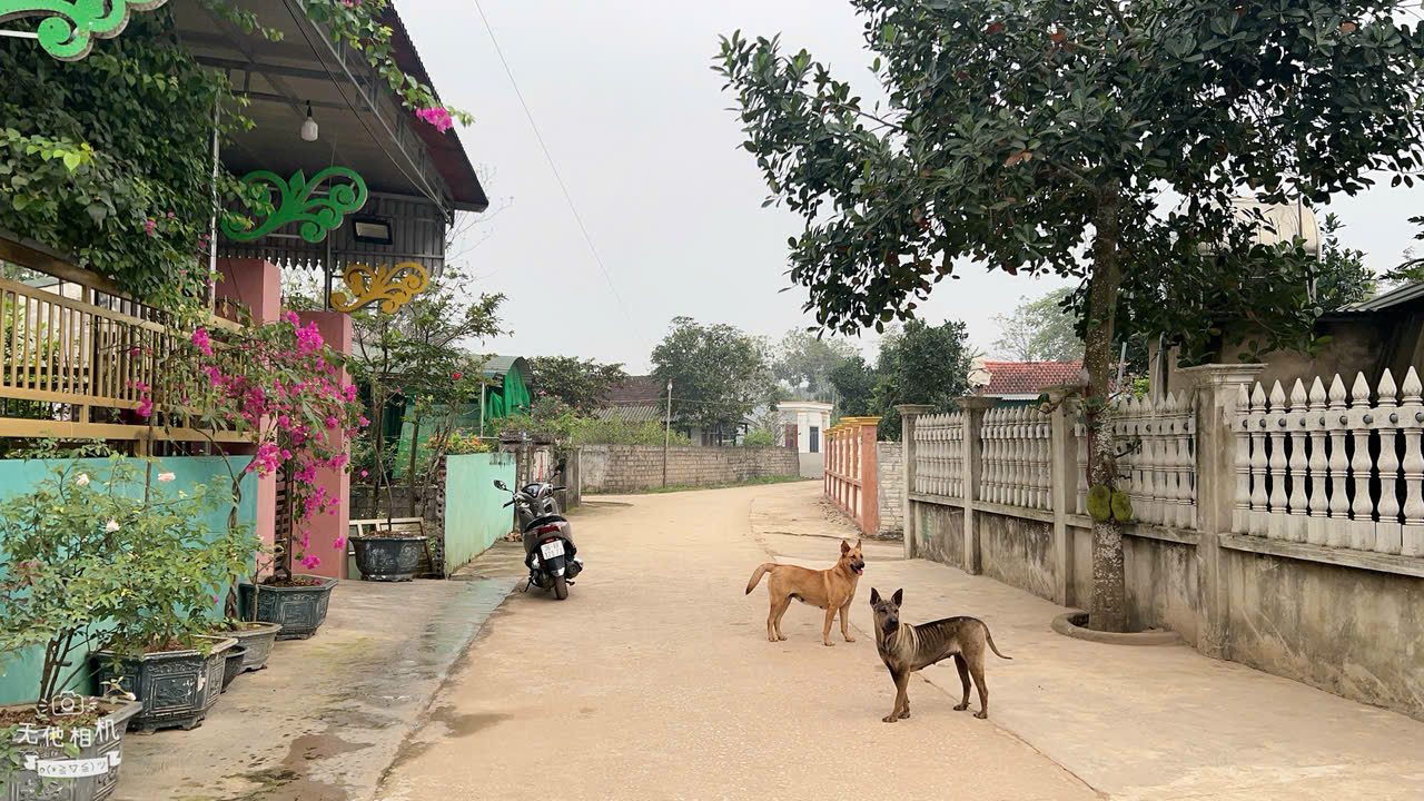 Đất Hợp Thắng Triệu Sơn - cách thị trấn 1km - đường 2 ô tô tránh - giá chỉ từ 510 triệu/lô