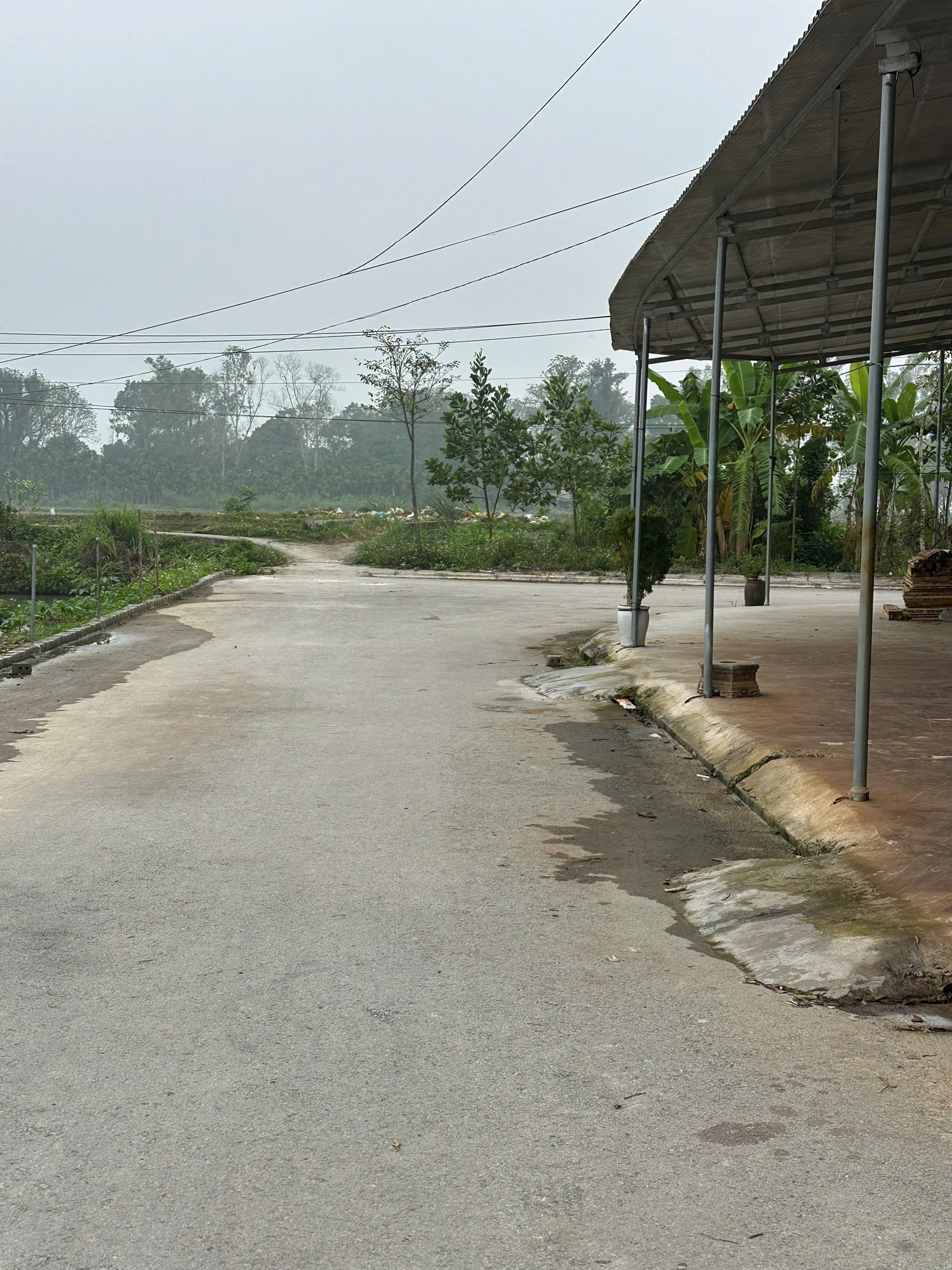 Bán đất mbqh 3932 Đông Thanh Đông Sơn - 116,7m², mt 6m, cách ql45 chỉ 300m, giá nhỉnh 800 triệu