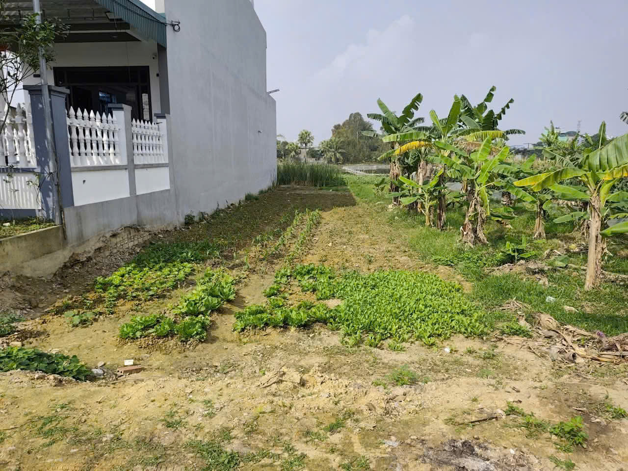 Bán 150m2 đất mặt đường nhựa uỷ ban xã quảng giao - phường nam Sầm Sơn - Thanh Hóa, mt 6m, cách biển 1.5km