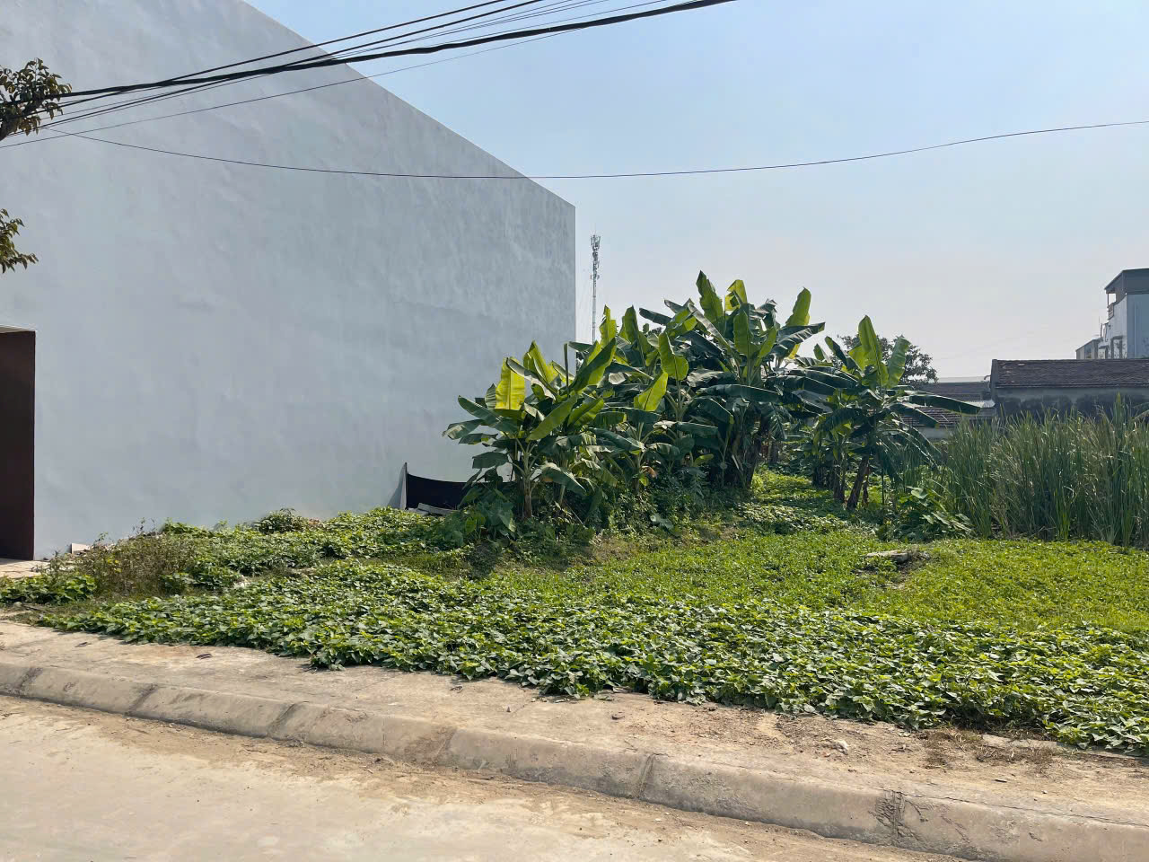 Lô đất mbqh 1535 phường Nguyệt Viên 75m2 mặt tiền 5m giá 1,x tỷ - gần QL1a, kcn Hoằng Long