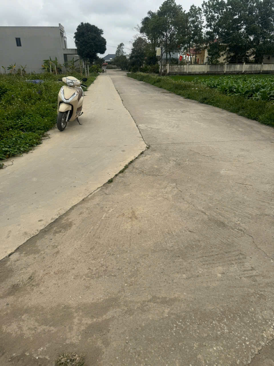 Đất rộng Quảng Định 350m² sát trục võ nguyên giáp - đường 2 ô tô thông, mặt tiền 16,5m - giá chỉ 2,1 tỷ