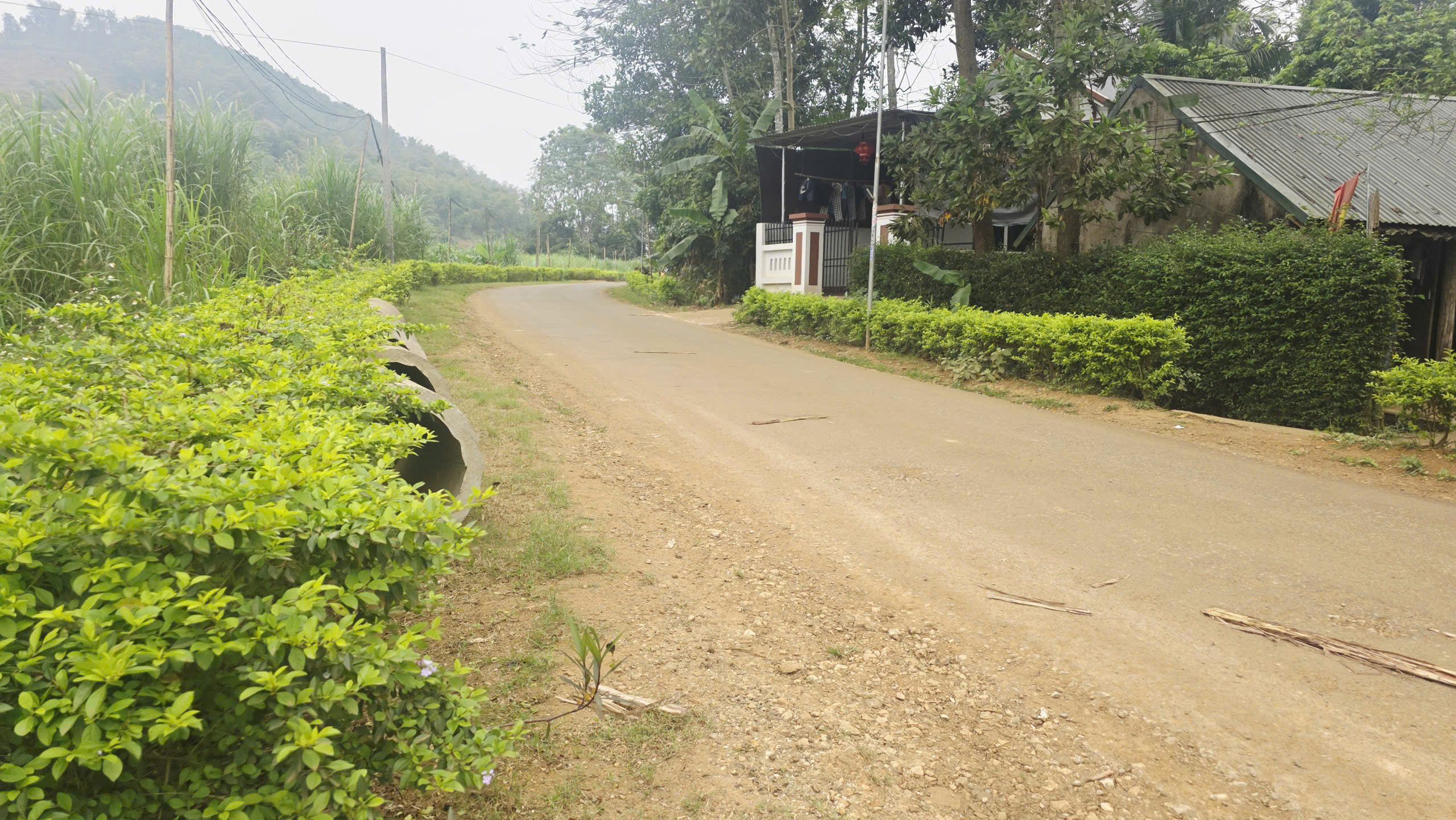 Bán lô đất 2 mặt tiền 100,5m2 mặt tiền 5m tại Phùng Giáo Ngọc Lặc - chỉ 150 triệu, giá cực hiếm