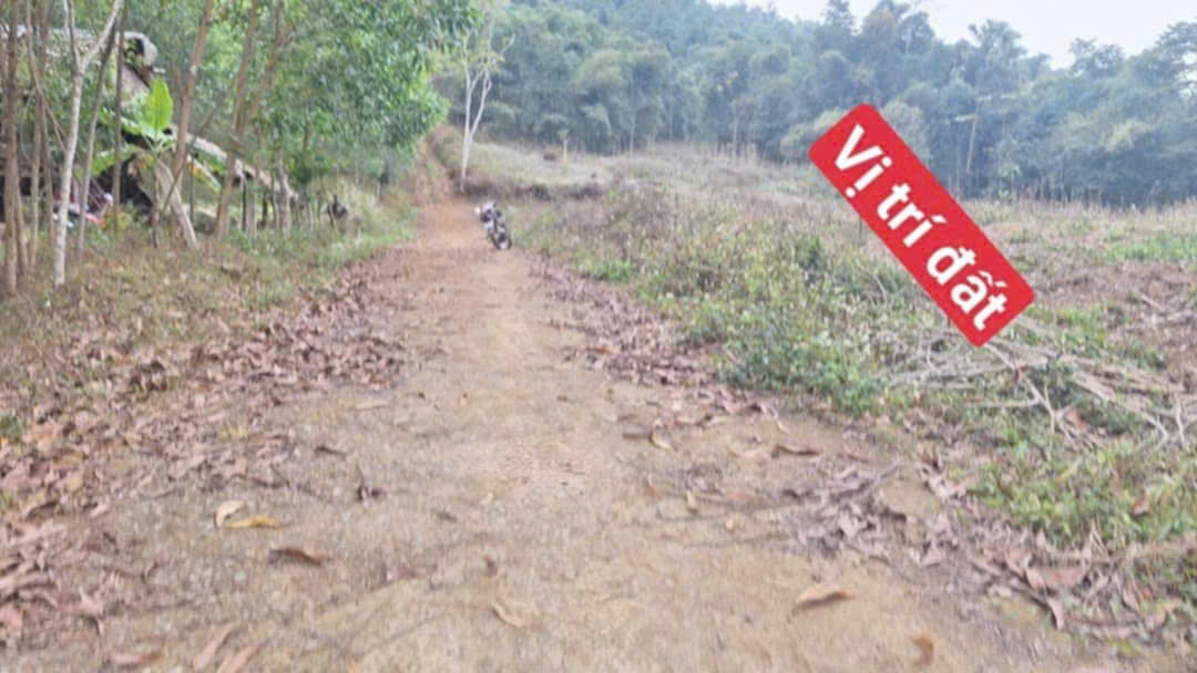 Bán đất phố Cao Xuân TT Ngọc Lặc 150m2 full OĐT - cách QL15A 250m - giá chỉ 155 triệu