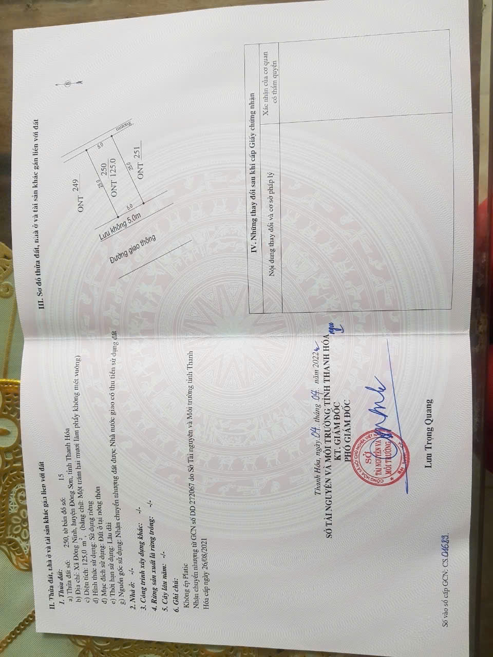 Đất trục chính Đông Ninh đi Triệu Sơn 125m² mặt tiền 5m -  buôn bán tốt - giá 1,3 tỷ