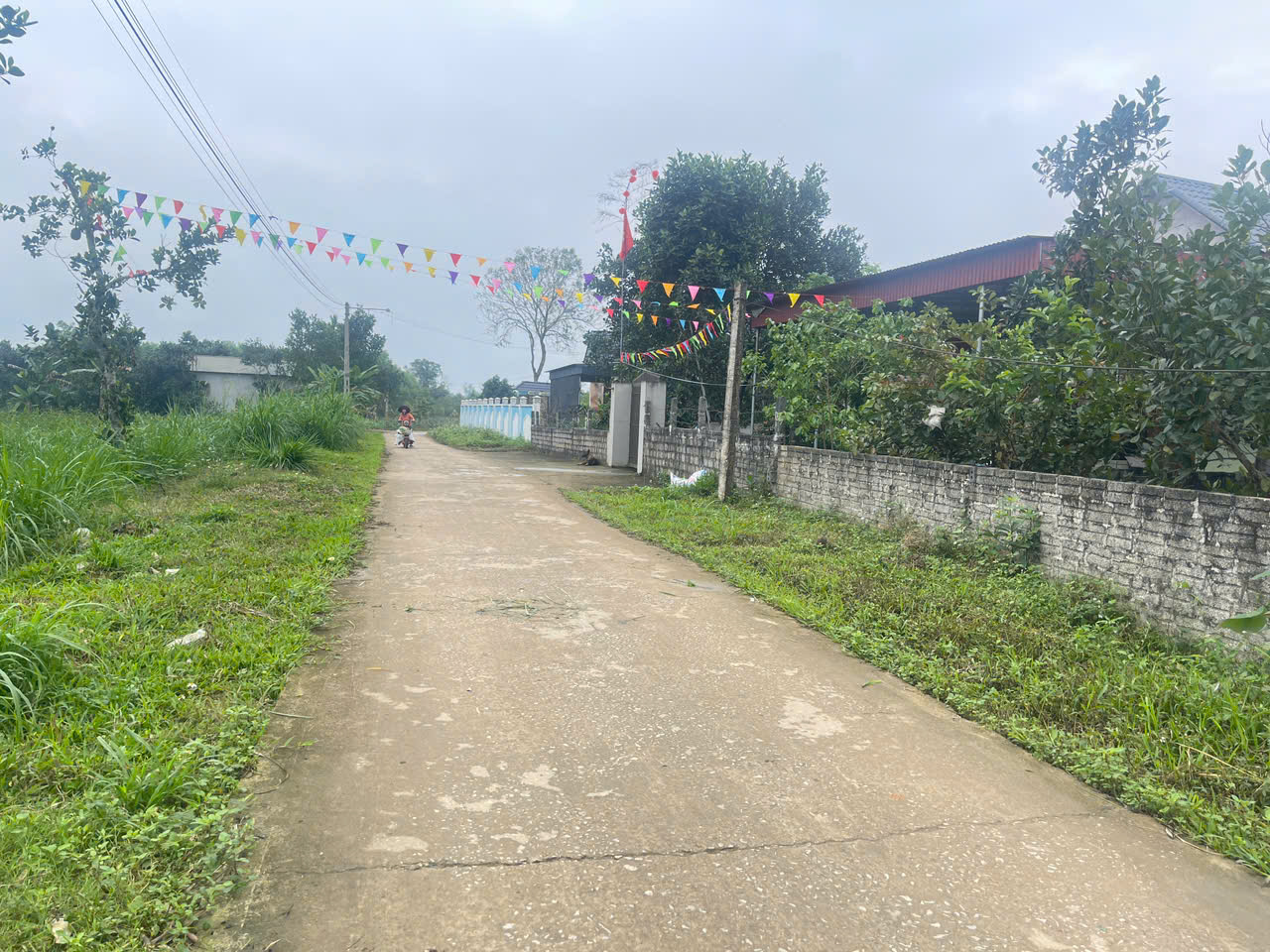 Đất Thọ Sơn Triệu Sơn 120m² mặt tiền 5m - ô tô tránh - gần sân bay Thọ Xuân - giá chỉ 3xx triệu