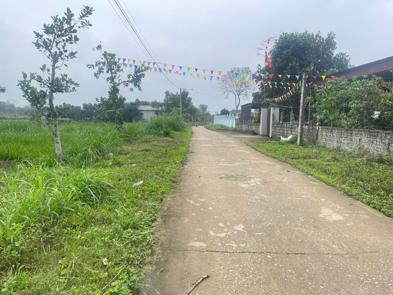 Đất Thọ Sơn Triệu Sơn 120m² mặt tiền 5m - ô tô tránh - gần sân bay Thọ Xuân - giá chỉ 3xx triệu