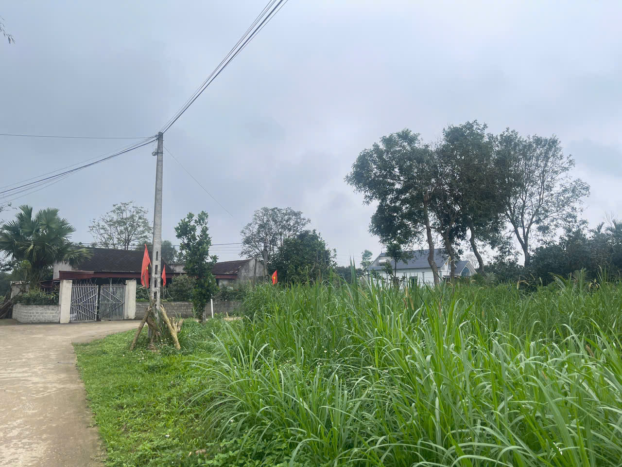 Đất Thọ Sơn Triệu Sơn 120m² mặt tiền 5m - ô tô tránh - gần sân bay Thọ Xuân - giá chỉ 3xx triệu