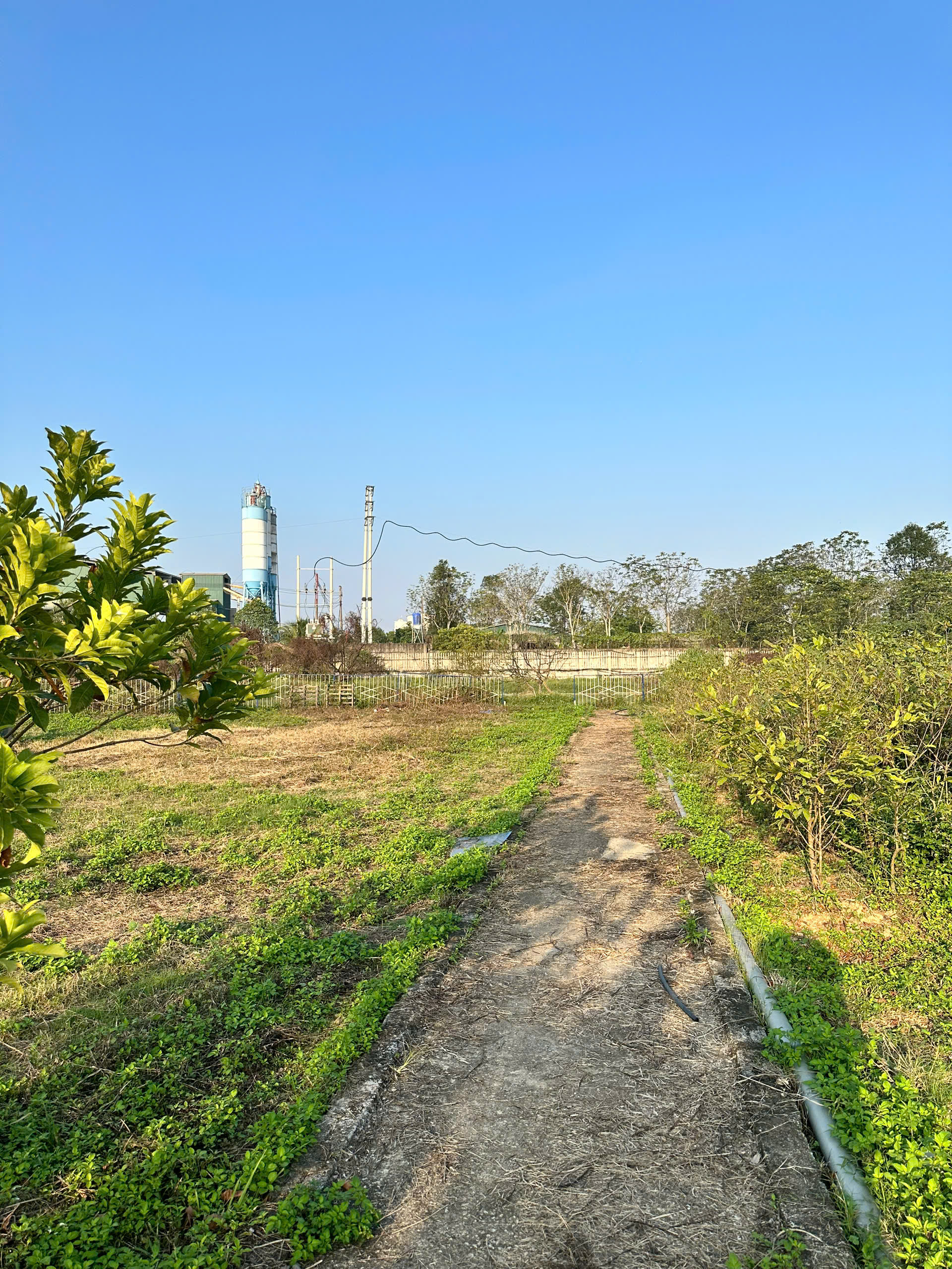 Bán 1.9ha đất sản xuất Phi Nông Nghiệp trung tâm thị trấn Rừng Thông - mặt tiền cực lớn - giá 2.3 triệu/m²