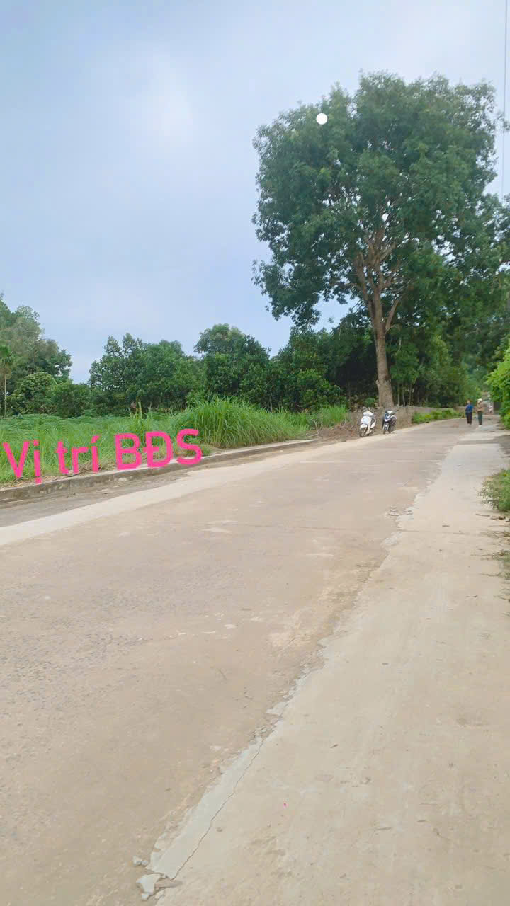 Đất Triệu Sơn 100m² mặt tiền 5m - gần sân bay Thọ Xuân, đường ô tô tránh - giá chỉ 3xx triệu