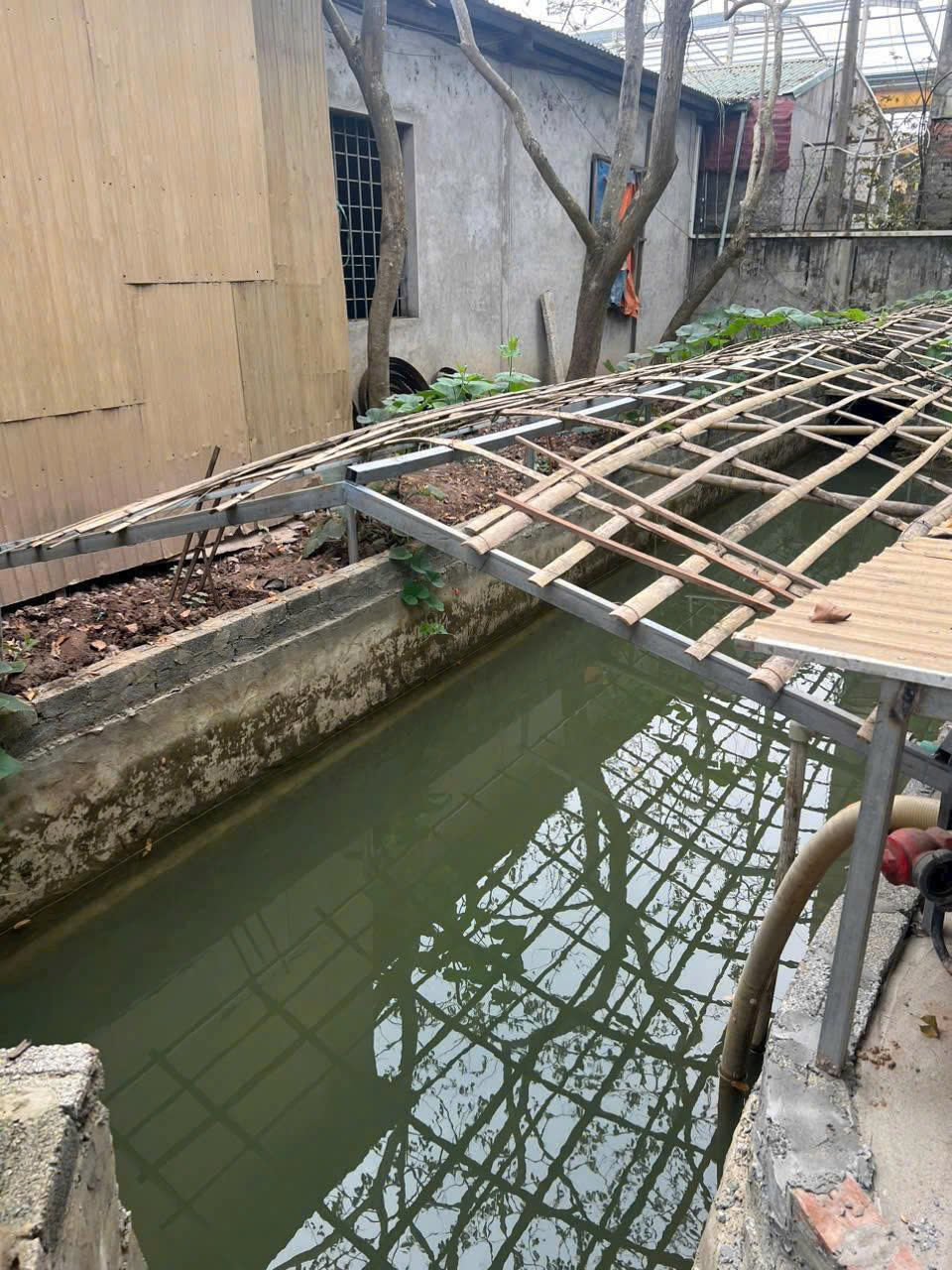 Đất dịch vụ thương mại 12.000m2 mặt tiền 57m quốc lộ 45 Rừng Thông Đông Sơn Thanh Hóa