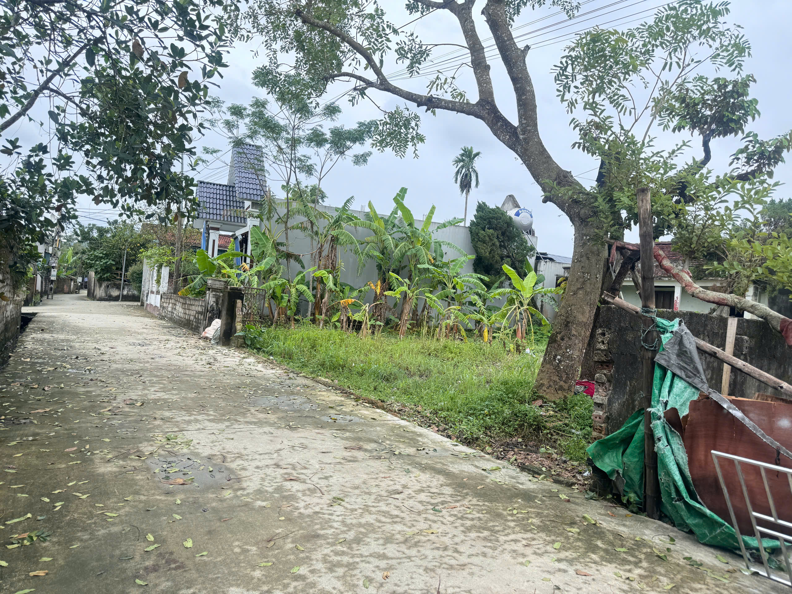 Đất nông trường 154m2 (5.5x28m) full thổ cư - đường ô tô rộng - gần cụm công nghiệp Triệu Sơn, trường học