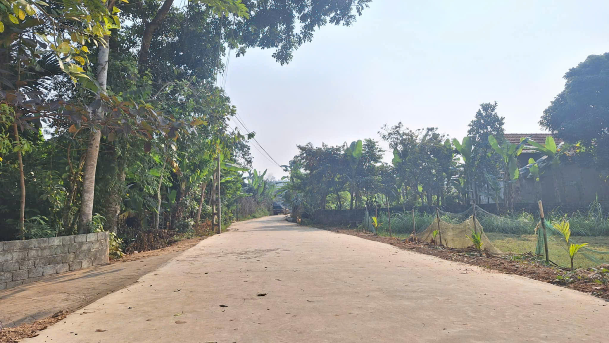 Đất Thọ Bình 112m² - đường ô tô tránh - giá chỉ hơn 300 triệu, cơ hội hiếm cho người nhanh tay