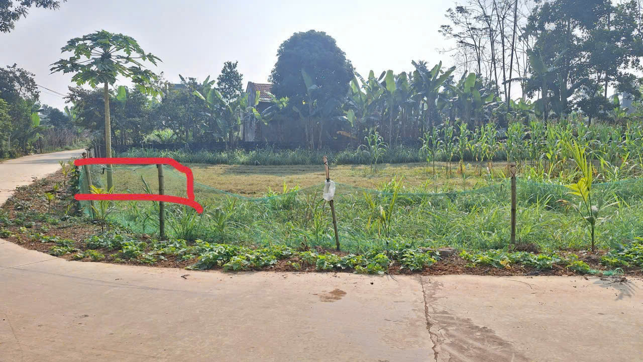 Đất Thọ Bình 112m² - đường ô tô tránh - giá chỉ hơn 300 triệu, cơ hội hiếm cho người nhanh tay