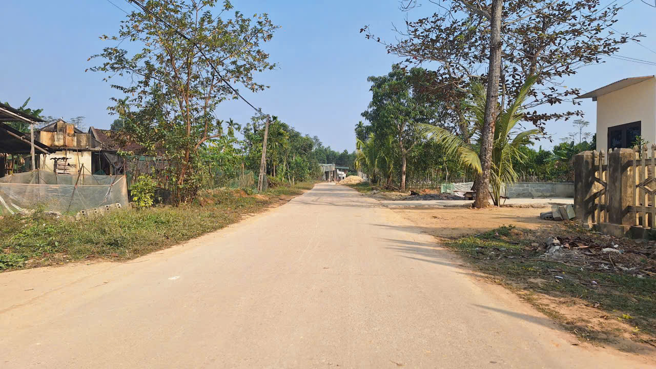 Đất Thọ Bình 112m² - đường ô tô tránh - giá chỉ hơn 300 triệu, cơ hội hiếm cho người nhanh tay