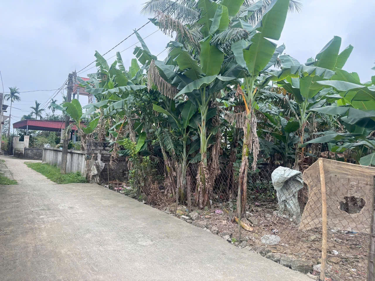 Đất Thọ Thế 230m² full thổ cư - mặt tiền 8m - đường ô tô thông - giá chỉ nhỉnh 5xx