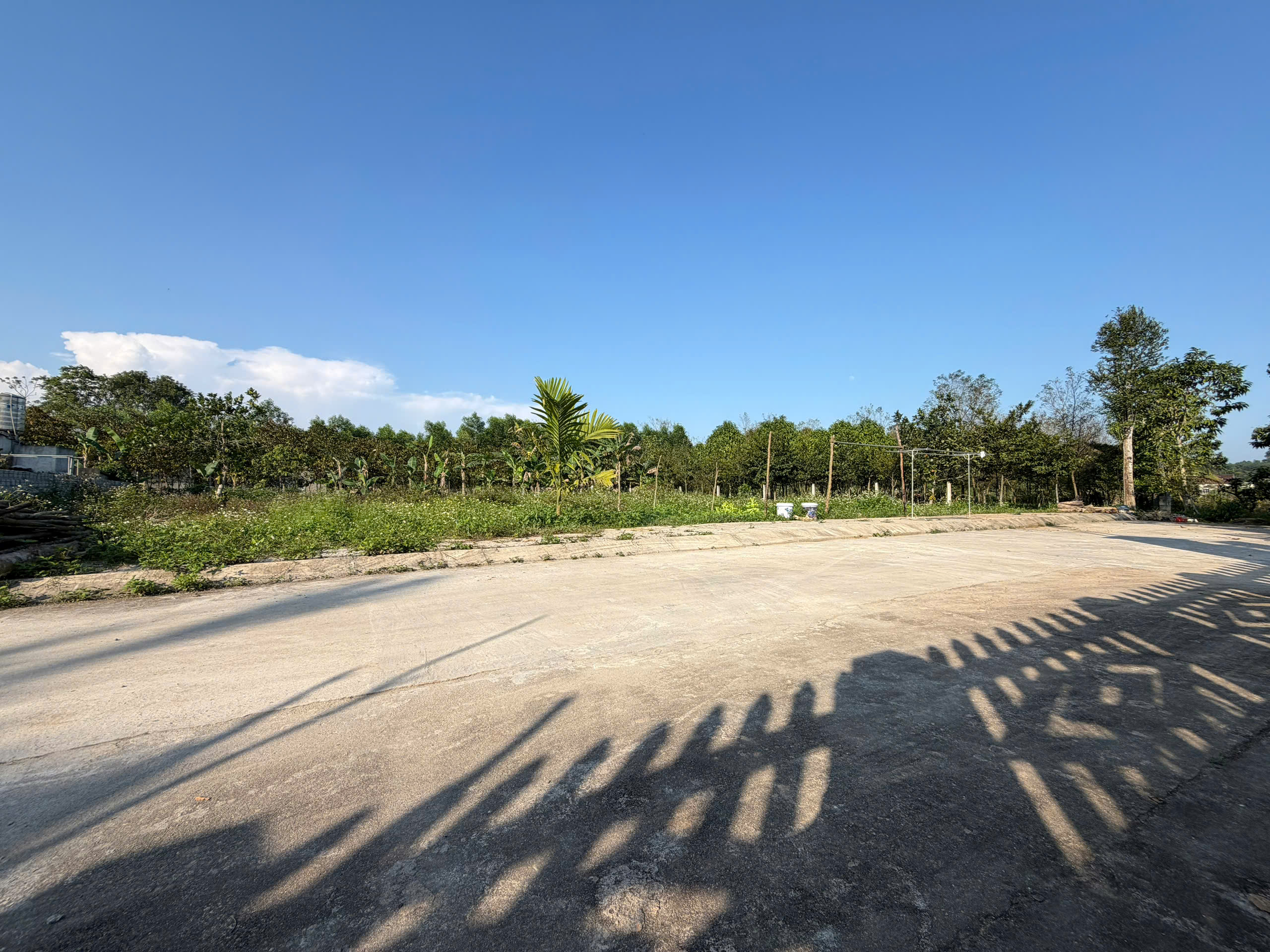 Đất Hợp Lý Triệu Sơn 125m² full thổ cư - đường 6m ô tô tránh - giá chỉ 2xx triệu/lô